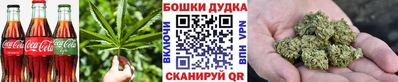 Canna-Cookies марихуана  купить наркотик  OMG вход  Лесозаводск 