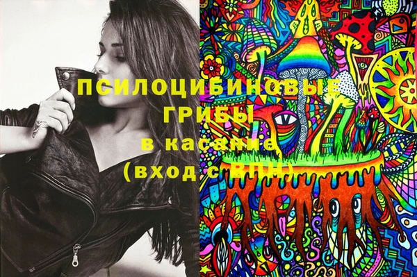 ПСИЛОЦИБИНОВЫЕ ГРИБЫ Алексин