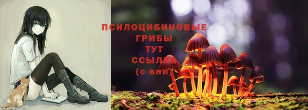 марихуана Абаза