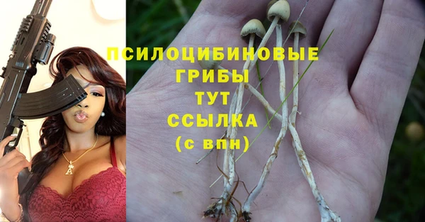 mdpv Алзамай