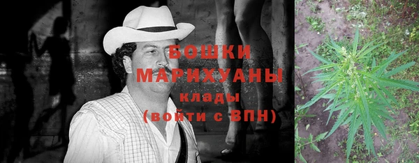 бутират Сатка