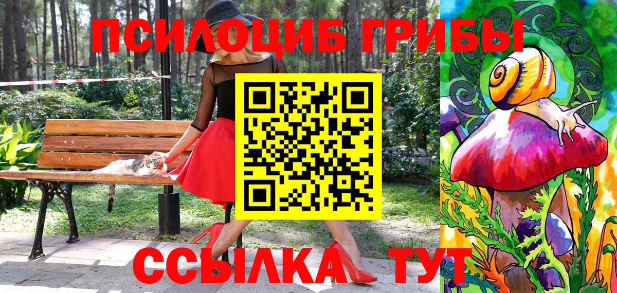 Галлюциногенные грибы Psilocybe Лесозаводск