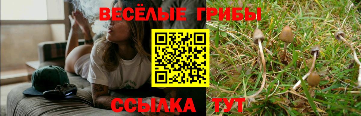 Лесозаводск  Галлюциногенные грибы Psilocybe  Псилоцибиновые грибы прущие грибы  Вход с VPN 